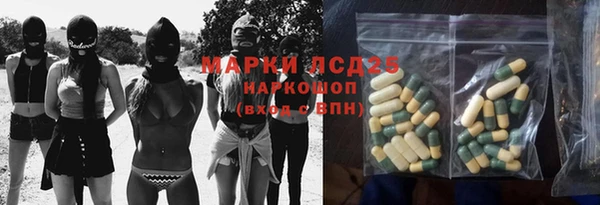 индика Магас