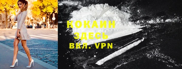 молекула духа Алексин