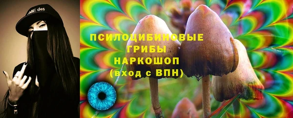 молекула духа Алексин