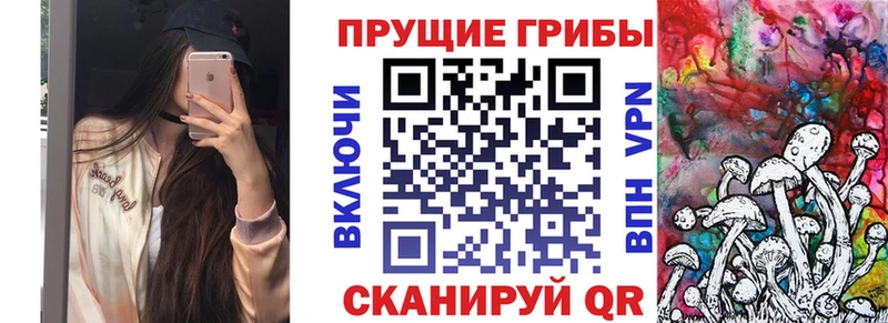 даркнет сайт  Красноярск  Галлюциногенные грибы мухоморы 