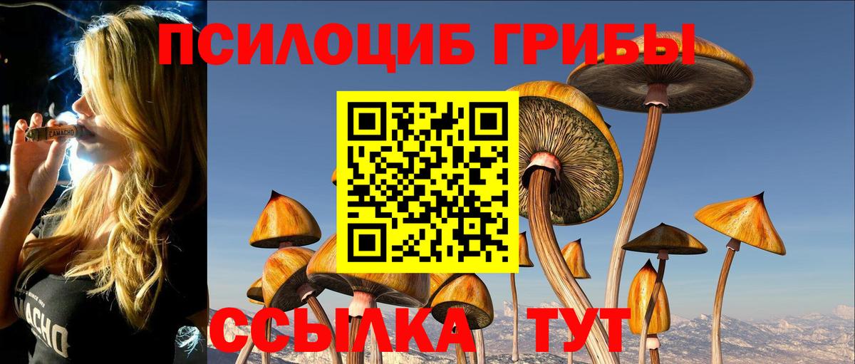 Галлюциногенные грибы Magic Shrooms  Вход с VPN  Красноярск 
